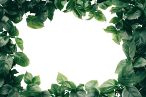 AI generated Beautiful green frame with leaves on a transparent background png