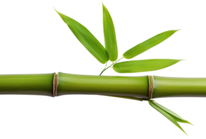 ai generiert Grün Bambus Ast mit Blätter auf transparent Hintergrund - - Lager png. png