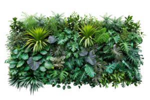 AI generated Green wall of tropical plants on a transparent background png