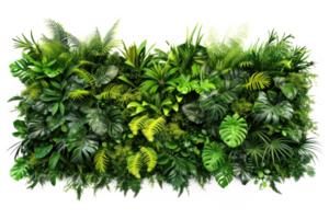 ai generado verde pared de tropical plantas en un transparente antecedentes png