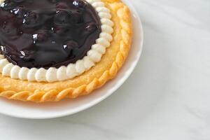 Blueberry Cheese Pie on white plate photo