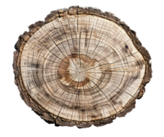 ai generiert detailliert Baum Ring Muster von ein Holz Scheibe auf transparent Hintergrund - - Lager png. png