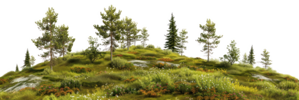 AI generated Alpine meadow on a transparent background png