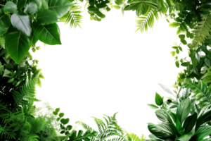 AI generated Beautiful green frame with leaves on a transparent background png