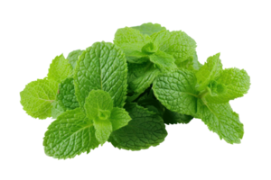 ai généré Frais vert menthe feuilles. menthe feuilles fermer sur une transparent Contexte png