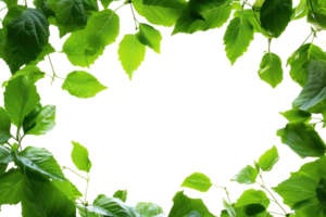 AI generated Beautiful green frame with leaves on a transparent background png