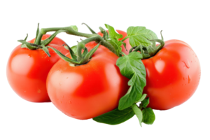 ai generiert frisch rot Tomaten mit Blätter auf ein transparent Hintergrund png