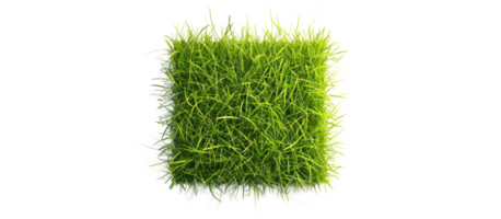 AI generated Small green grass lawn of square shape. Realistic natural element on a transparent background png