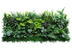 AI generated Green wall of tropical plants on a transparent background png