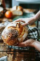AI generated Artisan Baker Holding Freshly Baked Sourdough Bread in a Rustic Kitchen photo