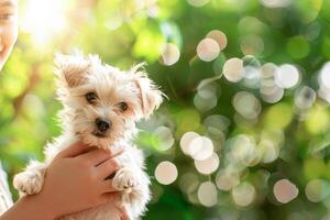 AI generated Person Holding Small White Dog photo