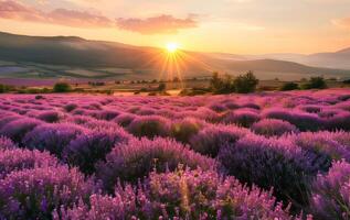 ai generado majestuoso puesta de sol terminado floreciente púrpura flores Valle y distante montaña rango foto