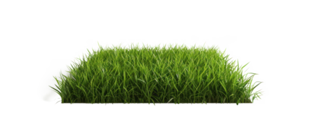 AI generated Small green grass lawn of square shape. Realistic natural element on a transparent background png