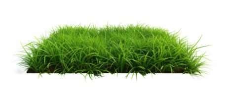 AI generated Small green grass lawn of square shape. Realistic natural element on a transparent background png