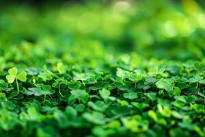 AI generated Vibrant Green Clover Field Bathed in Sunlight on a Fresh Spring Morning photo