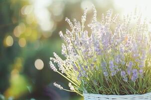 ai generado sereno lavanda cesta tomando el sol en suave Mañana ligero en medio de un soñador bokeh foto