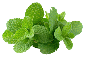 AI generated Fresh green mint leaves on transparent background - stock png. png