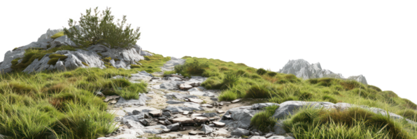 AI generated Scenic mountain trail through lush greenery and rocky terrain on transparent background - stock png. png