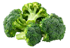 AI generated Freshly cut broccoli florets on transparent background - stock png. png