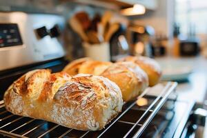 AI generated Freshly Baked Artisan Bread Cooling on a Metal Rack in a Home Kitchen photo
