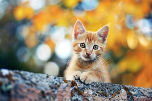 AI generated cat photo
