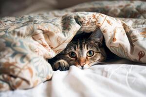 AI generated Ginger Cat Nestled Cozily Amongst Quilted Blankets During Daylight Hours photo