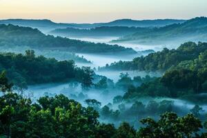 AI generated Misty Morning Over Verdant Forested Hills at Sunrise photo