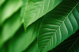 AI generated Tropical leaves create natural macro background photo