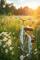 AI generated Vintage Bicycle With Wicker Basket Standing in a Blooming Yellow Rapeseed Field on a Sunny Day photo