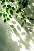 AI generated Sunlight Filtering Through Lush Green Leaves on a Bright Summer Day photo