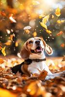 AI generated Smiling Beagle Enjoying the Warmth of a Sunny Autumn Afternoon Among Fallen Leaves photo