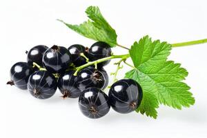 AI generated Fresh Black Currants With Vibrant Green Leaves Isolated on White Background photo