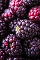 AI generated Close-Up View of Juicy Blackberries in Natural Light photo