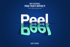 pell 3d leggero riflessione psd