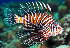 AI generated A view of a Lion Fish photo