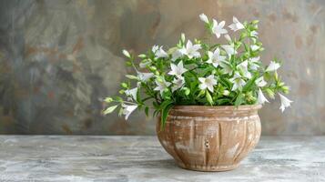 AI generated Charming White Bellflowers in Pot photo