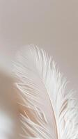 AI generated Delicate White Feather Close Up photo