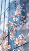 ai generado Cereza flores en contra azul rascacielos foto