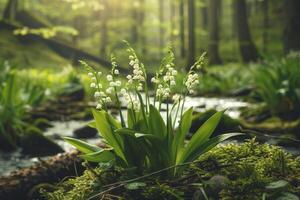 AI generated Forest Lily Of The Valley photo