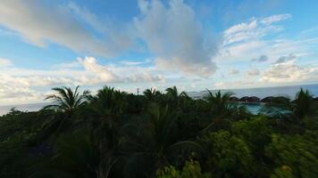 hotel en huizen Aan de water in de Maldiven. eiland met palm bomen. video