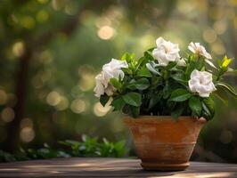AI generated Potted Gardenias On Wooden Table photo