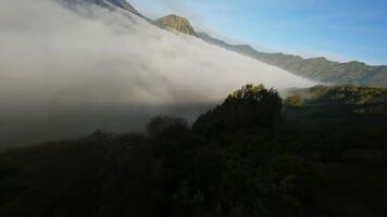 fliegend Über das Felsen im das Morgen im das Nebel video