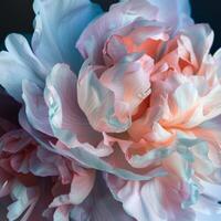AI generated Iridescent Peony Petals in Abstract Form photo