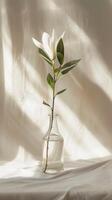 ai generado magnolia en vaso florero foto