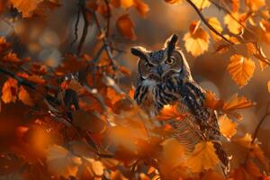 ai generado genial con cuernos búho en otoño foto