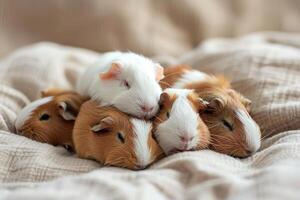 AI generated Guinea Pigs Cuddling on Blanket photo