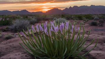 AI generated Flower blooms in the desert symbolize hope and resilience photo