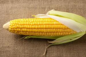 AI generated Single corn cob on brown sackcloth background, viewed from side photo