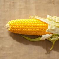 AI generated Single corn cob on brown sackcloth background, viewed from side For Social Media Post Size photo