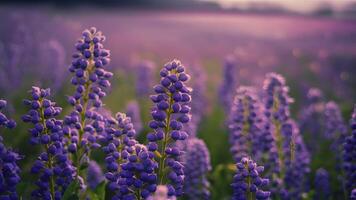 AI generated Fantasy gentle floral background with blue flowers in defocused setting photo